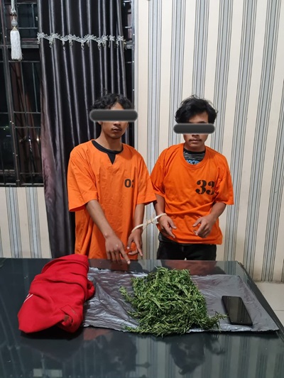 Dua Orang Diduga Pemilik Ganja Ditangkap Sat Narkoba Polres Tanah Karo 