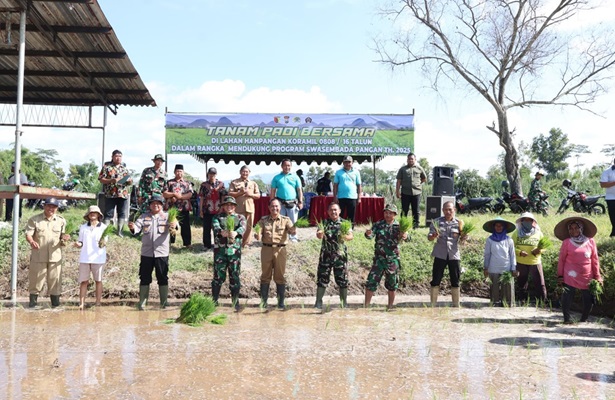 Dukung Swasembada Pangan Nasional, Koramil 080816 Talun Menanam Padi Bersama Forkopimcam dan Masyarakat