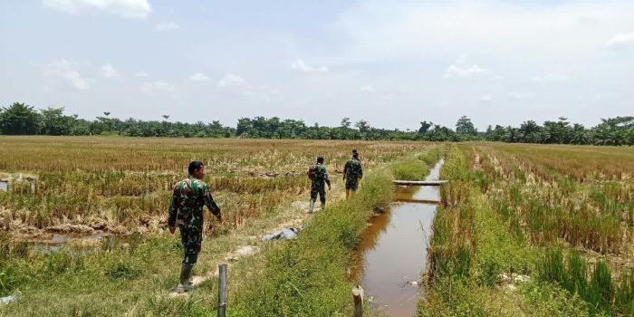 Kodim 0209Labuhanbatu Intensifkan Mitigasi Karhutla, Hotspot Terdeteksi Nihil