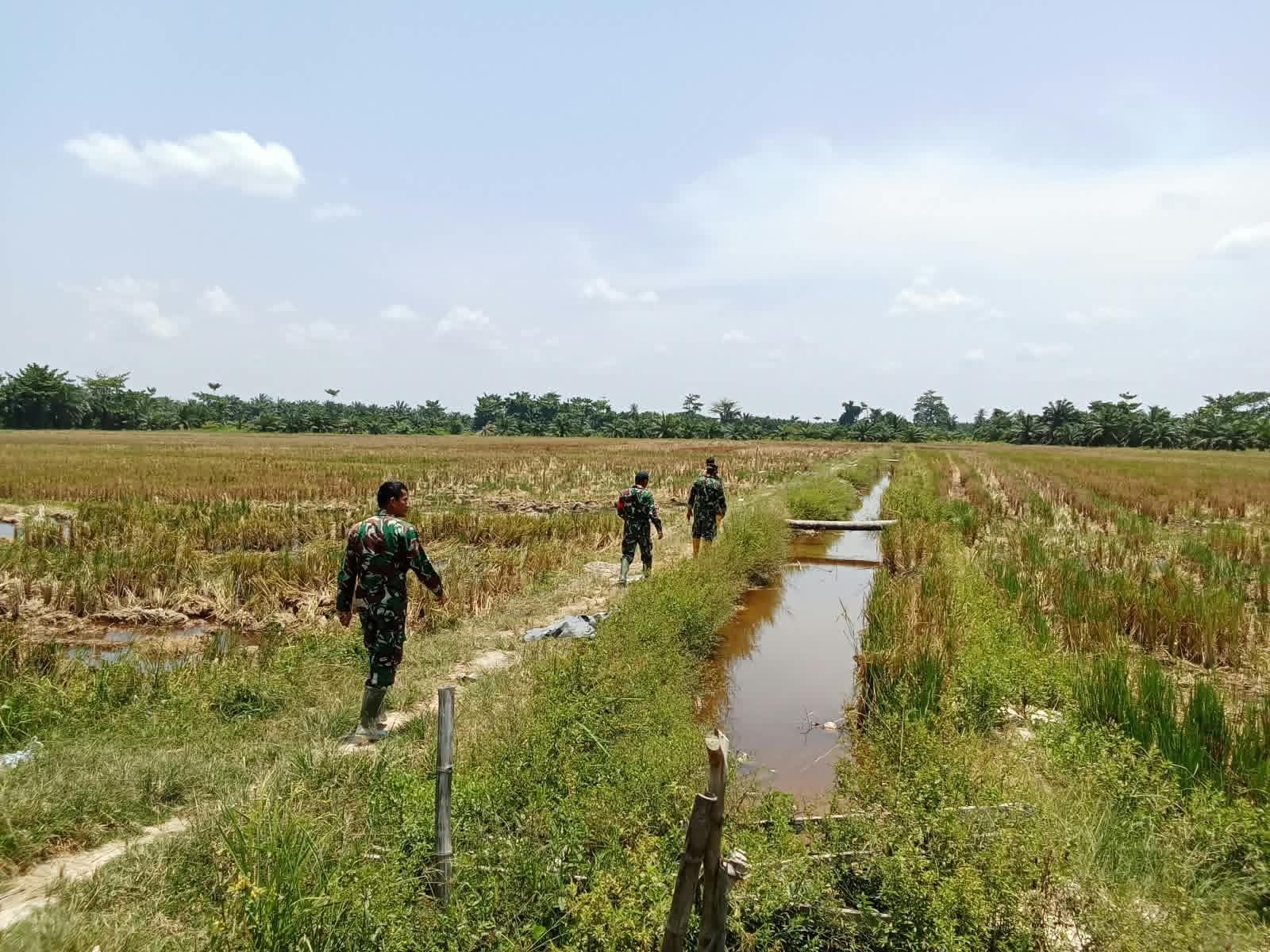 Kodim 0209Labuhanbatu Intensifkan Mitigasi Karhutla, Hotspot Terdeteksi Nihil Kodim 0209Labuhanbatu Intensifkan Mitigasi Karhutla, Hotspot Terdeteksi Nihil